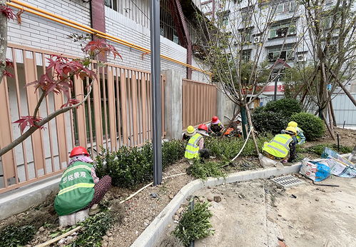 绵竹推进口袋公园建设 城市废弃地边角地闲置地绿意盎然 四川在线