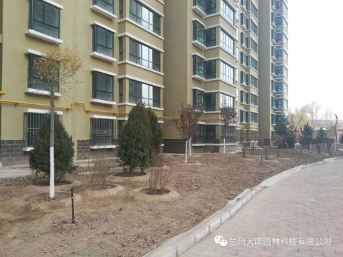 永登西太华 置地新城园林绿化工程现场